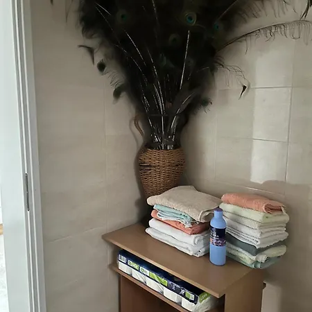 Rudnicka Oaza Mira, Kuca U Podnozju Ostrvice Lejlighed Gornji Milanovac